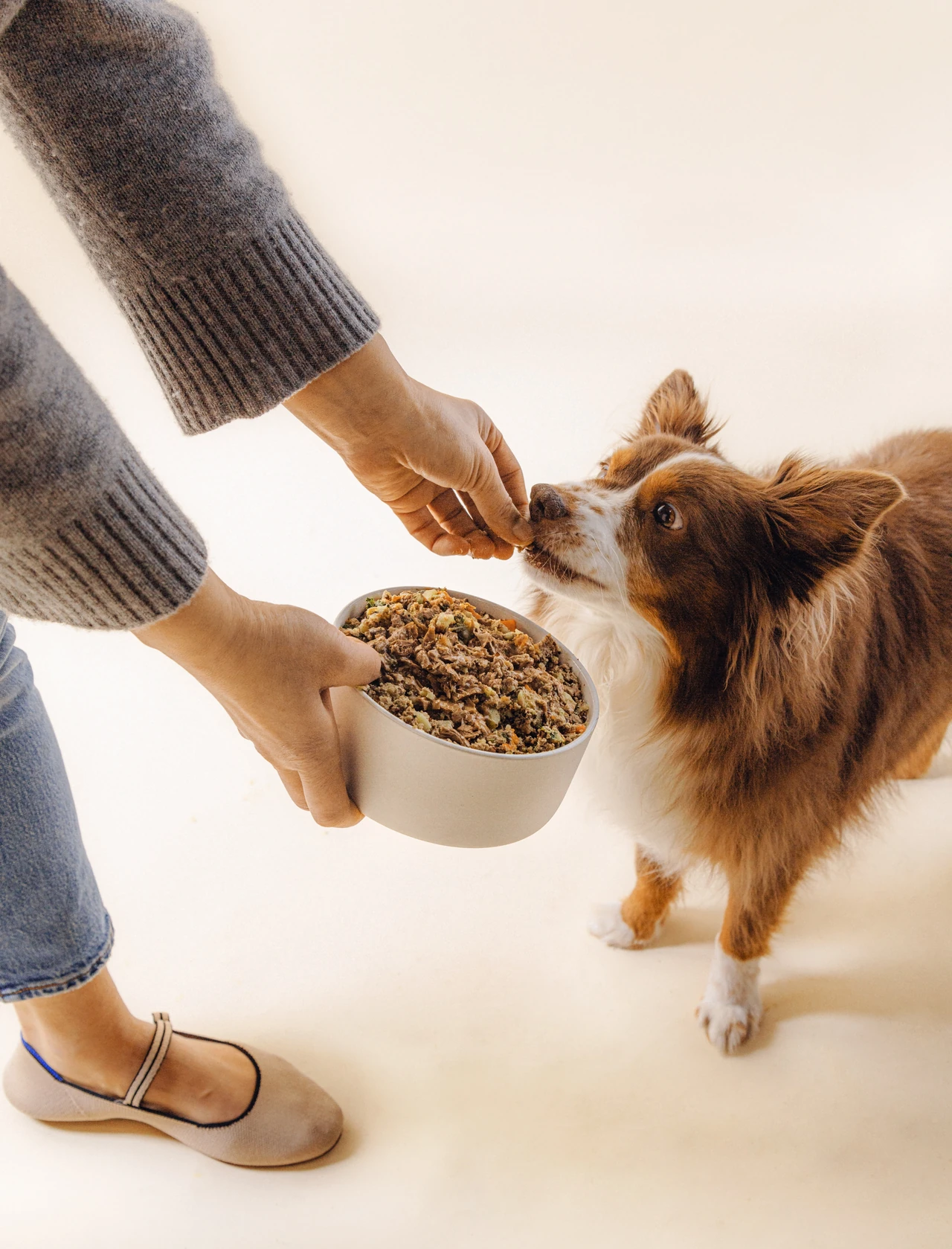 Canine eating Nine & Line from bowl