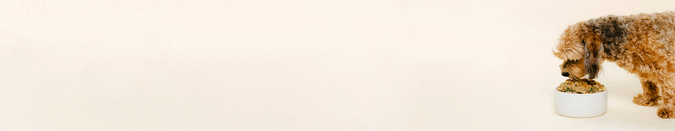 Canine eating Nine & Line Therapeutic diet from bowl