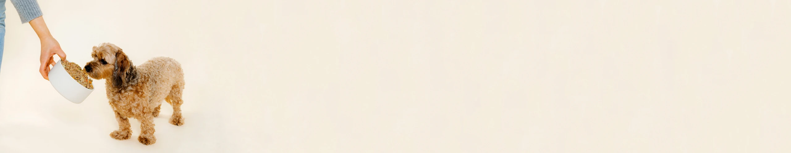 Dog eating Nine & Line Therapeutic diet from bowl