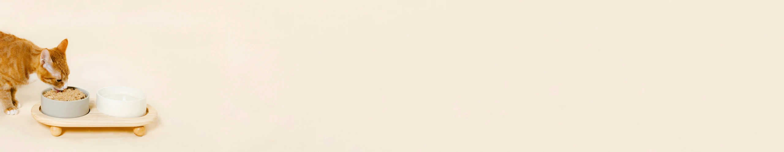 Cat eating Nine & Line Therapeutic diet from bowl