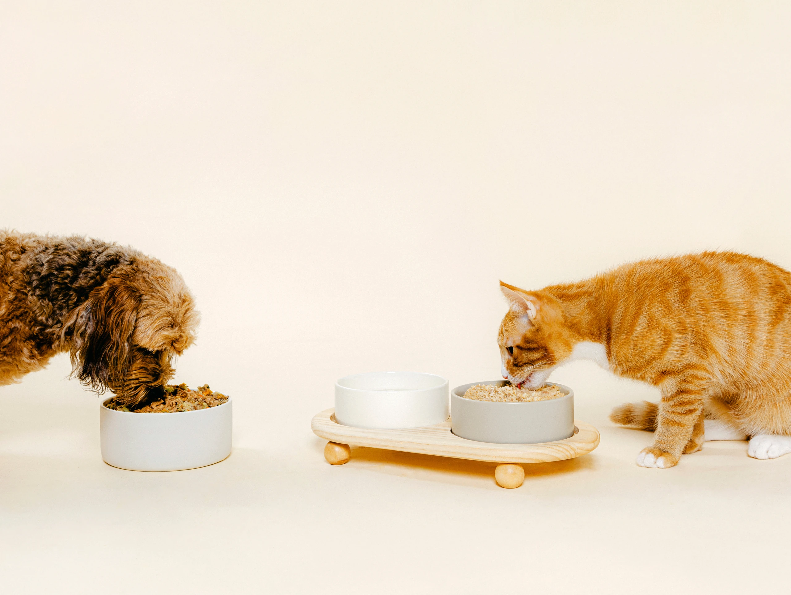 Dog and cat facing each other eating Nine & Line from bowl