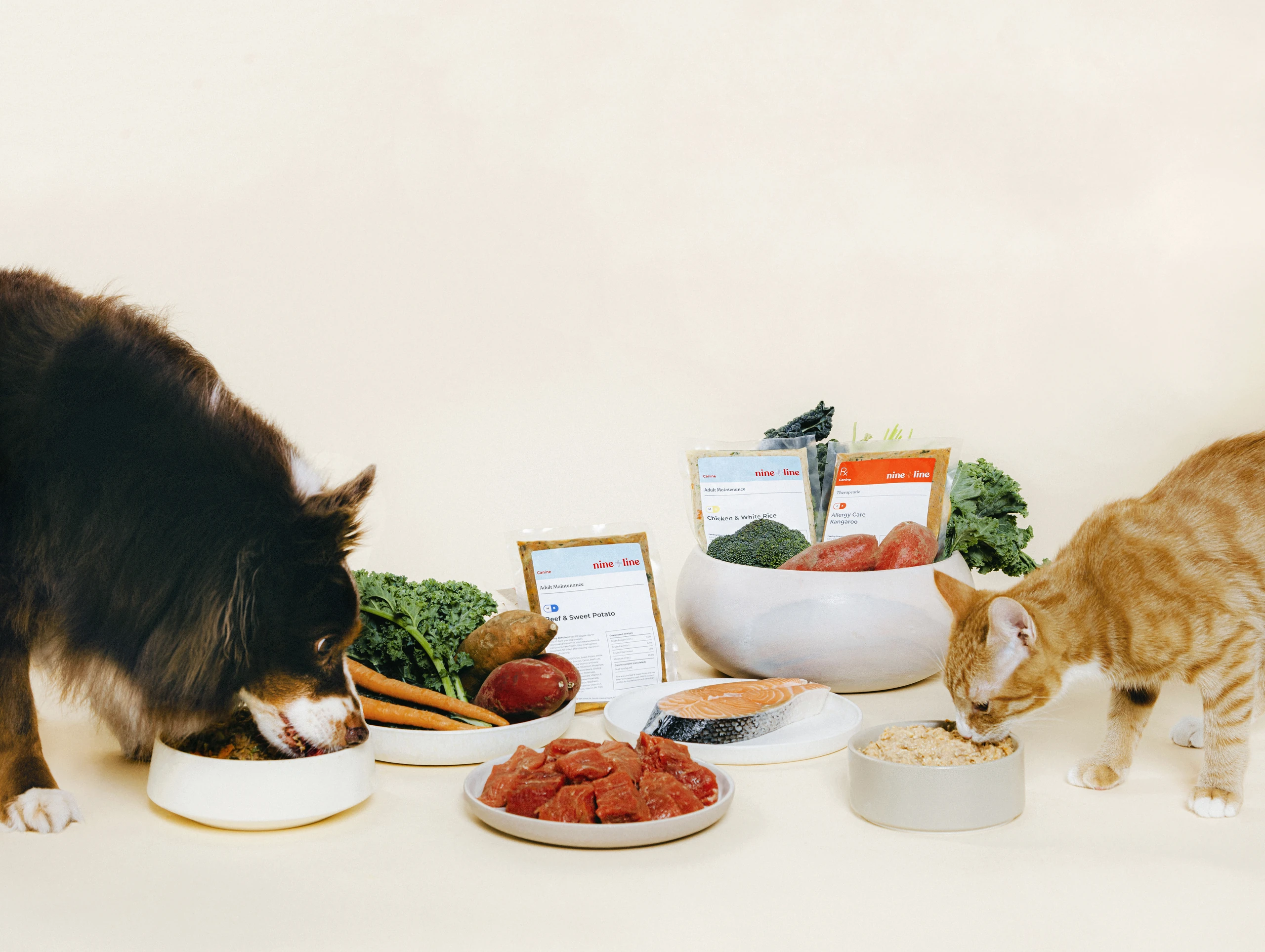 Canine and feline eating Nine & Line