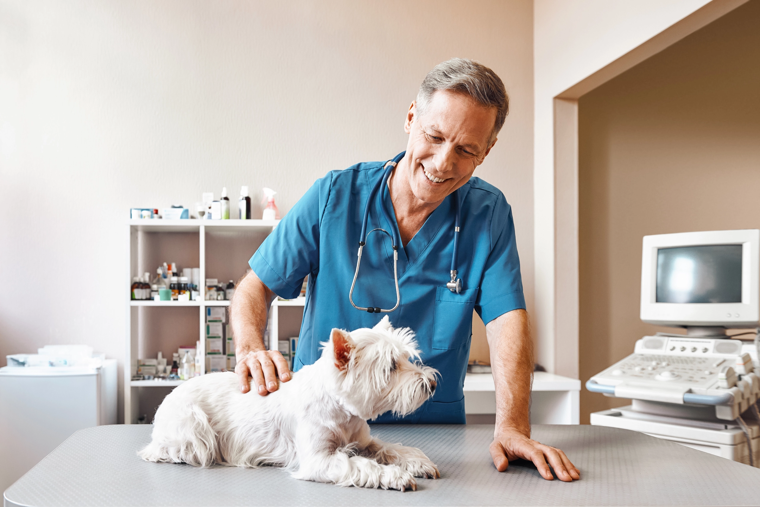 Veterinarian with a dog in a clinic setting
