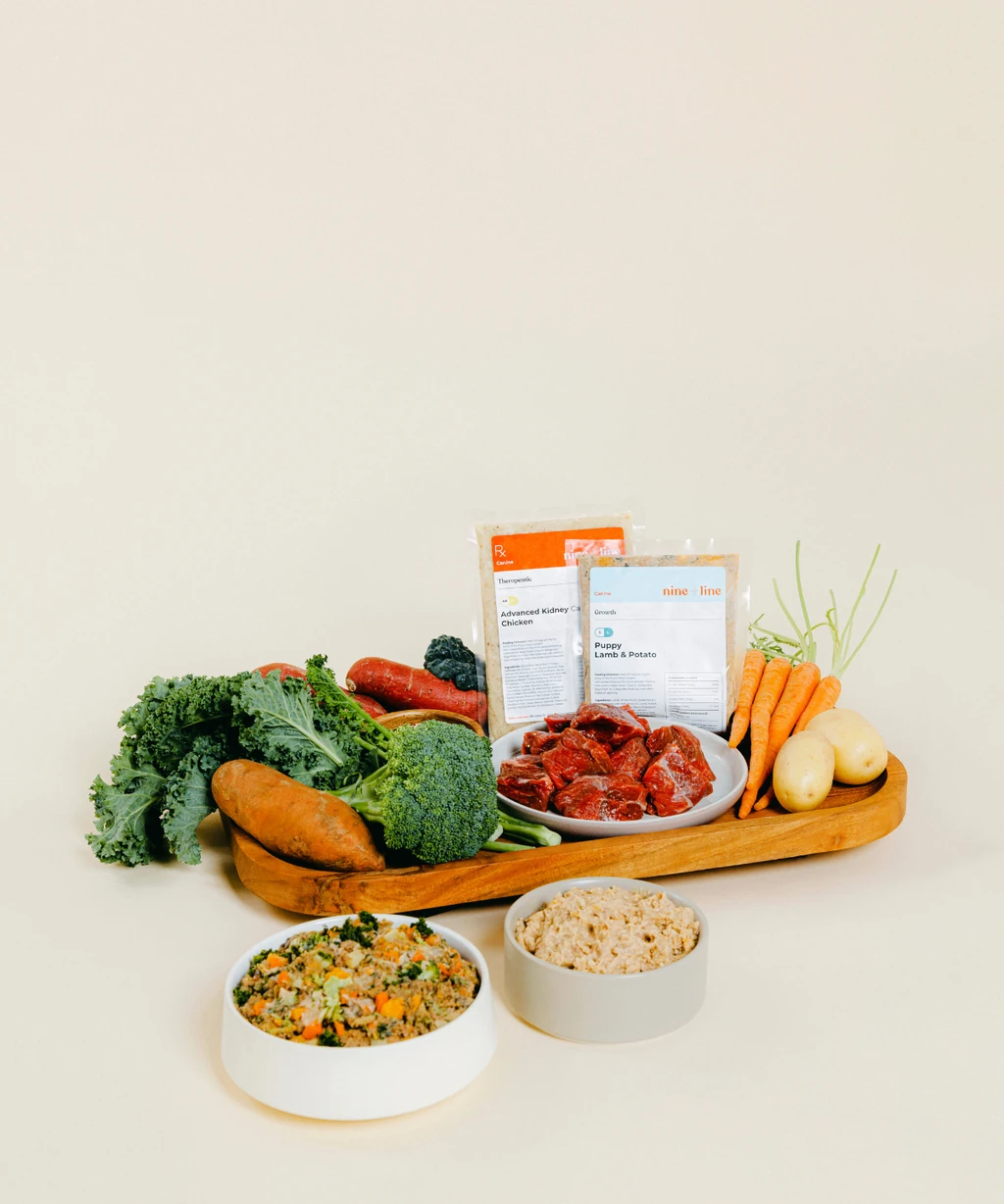 Nine & Line meals surrounded by fresh ingredients