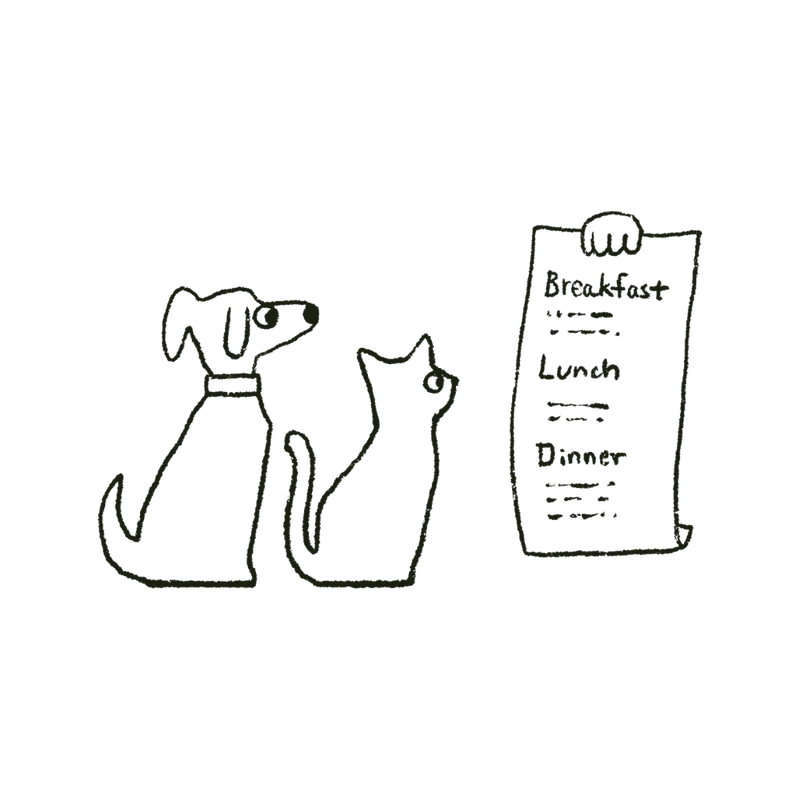 02 - Match the right diet