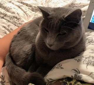 Yiru Z. with Lucy & Shimmy