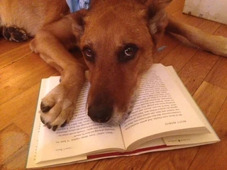 Julie S. with Maggie