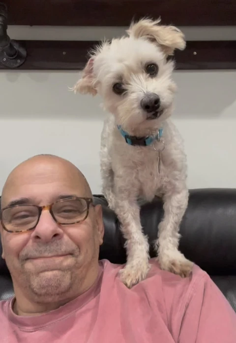 Rumi, a small white terrier, perched on the couch behind his owner